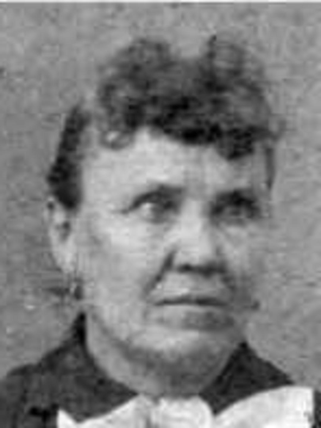 Dianetta Emily Alexander (1843 - 1879) Profile